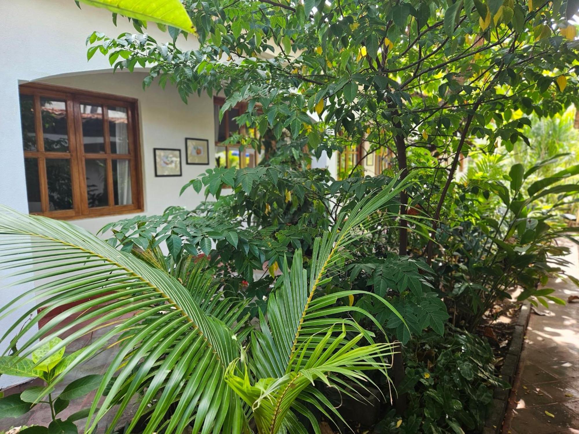 Hotel Tranquilo Las Peñitas Extérieur photo